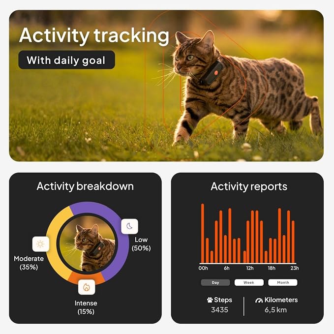 Weenect Cat XS - New GPS Tracker for Cats | Real-time Mini GPS Tracker for Cats | Smallest Model on The Market | Collar Included | Subscription Required