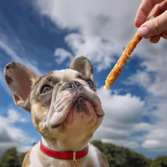 Pet 'n Shape Hide Twists – Chicken Wrapped Rawhide Dog Treats - Small Twist - 2 Pounds (Pack of 3)
