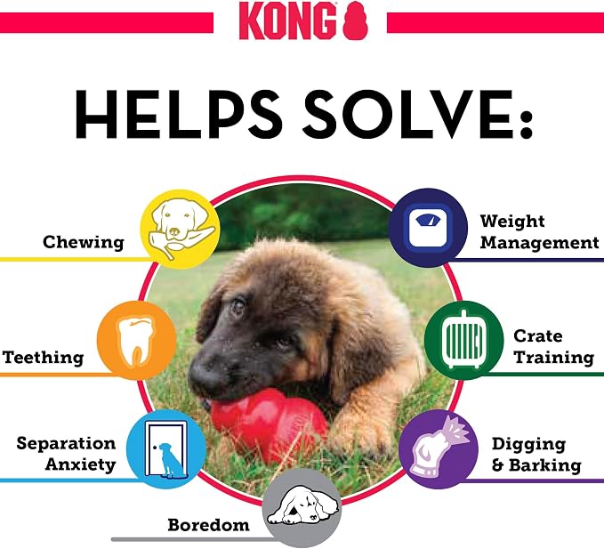 KONG Classic Toy and Easy Treat Peanut Butter Spray, 14 oz, Medium Dogs
