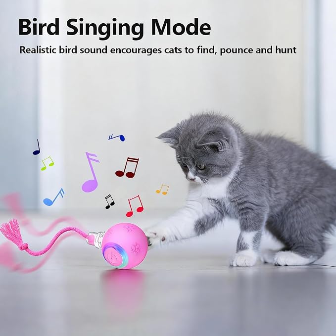 Speed 2.0 Tail Interactive Cat Toys, Rechargeable Ball for Indoor Cats