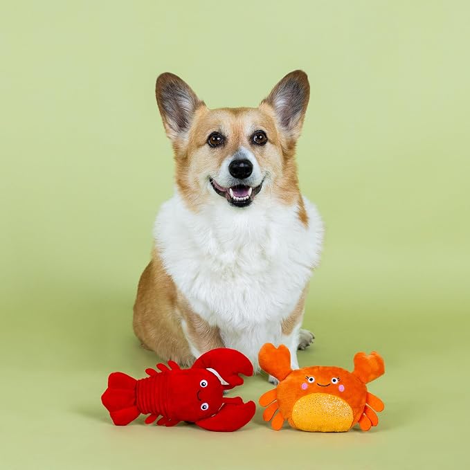 Fringe Studio Plush Dog Toy Set,You're Pretty Snappy Lobster & Crab 2 Piece Set,Pet Shop Collection (312061)