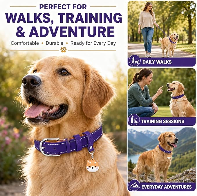 Genuine Leather Dog Collar, Soft Padded Leather Dog Collars with Airtag Holder Case for Small Medium Large X-Large Dogs,Comfort Heavy Duty Pet Collar with Durable Metal Buckle & D-Ring-Dark Purple/L