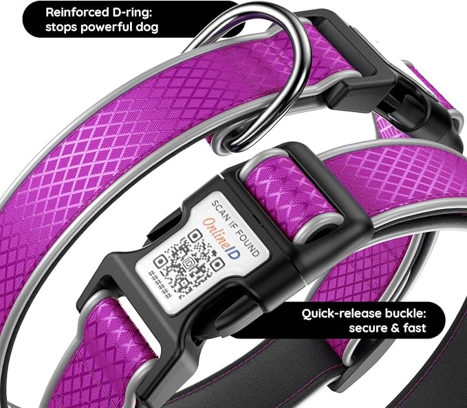 Reflective Dog Collar with QR Code Tag, Purple, L (15.7"-23.6")