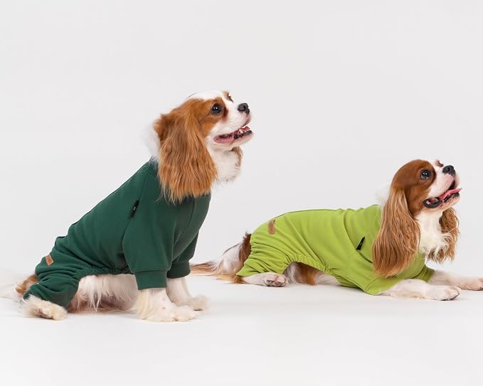 Fitwarm 2 Pack Lightweight Fleece Dog Pajamas, Warm Winter Clothes for Small Dogs Boy Girl, Cozy Pet Onesie with Feet, Yellow Green, Dark Green, Large