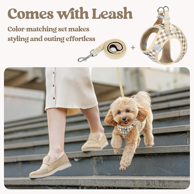 rabbitgoo Dog Harness Medium Sized and Leash Set, Step-in Puppy Pet Vest | Light, Soft, Breathable Air Mesh, Easy on and Remove with Hook & Loop, Secure Reflective for Walking, Beige Check L