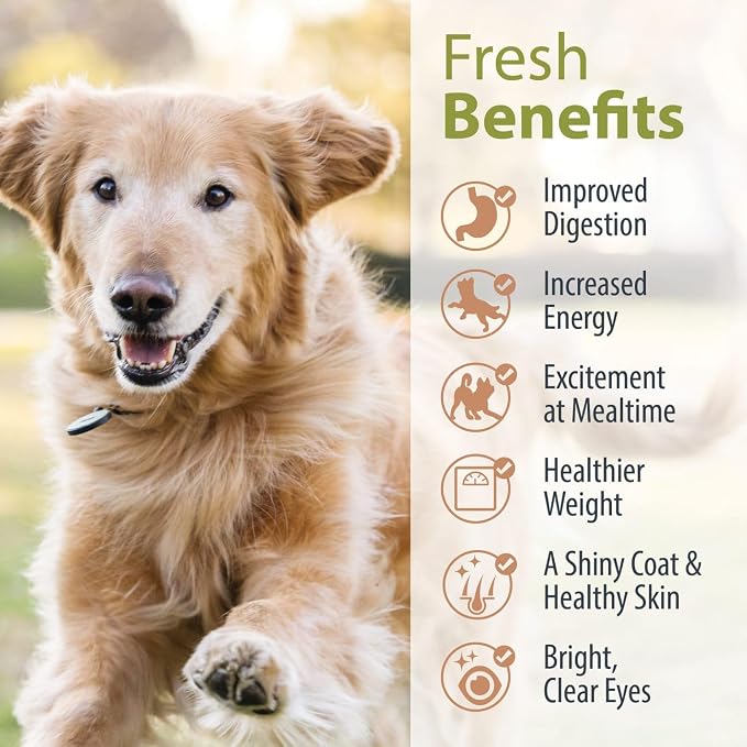 JustFoodForDogs Pantry Fresh Wet Dog Food, Complete Meal or Dog Food Topper, for Joint Health, Skin Health, Allergies, Joint & Skin Support, Pork & Quinoa - 12.5 oz (Pack of 12) | Fresh Pet Meal or Dog Food Topper for Dog Joint & Skin Health or Allergi...