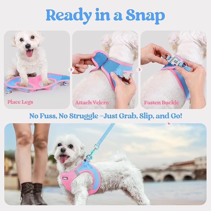 rabbitgoo Dog Harness Small Sized and Leash Set, Step-in Puppy Pet Vest | Light, Soft, Breathable Air Mesh, Easy on and Remove with Hook & Loop, Secure Reflective for Walking, Blue & Light Pink XXS