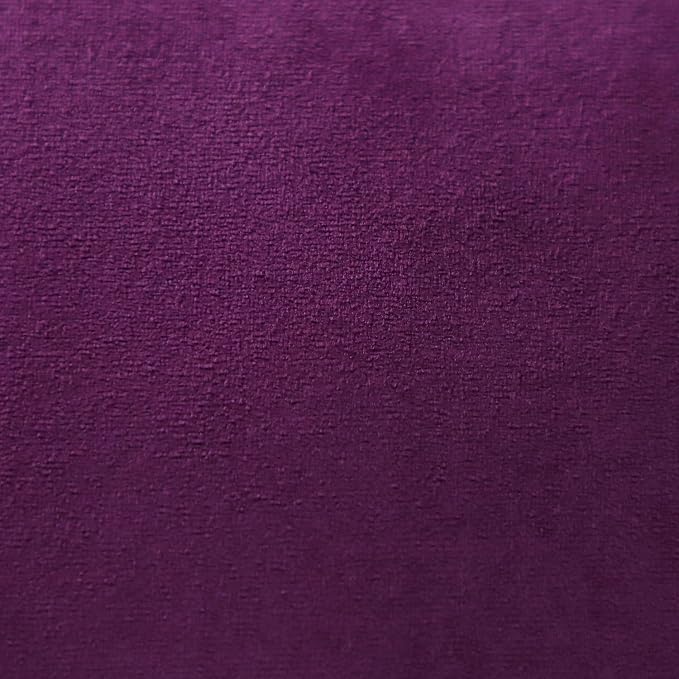 Artscope Luxury Velvet Pillow Covers Super Soft Decorative Rectangle Throw Pillow Covers Case Cushion Covers for Sofa Couch Bedroom Car Decor 16x24 Inch Eggplant Purple