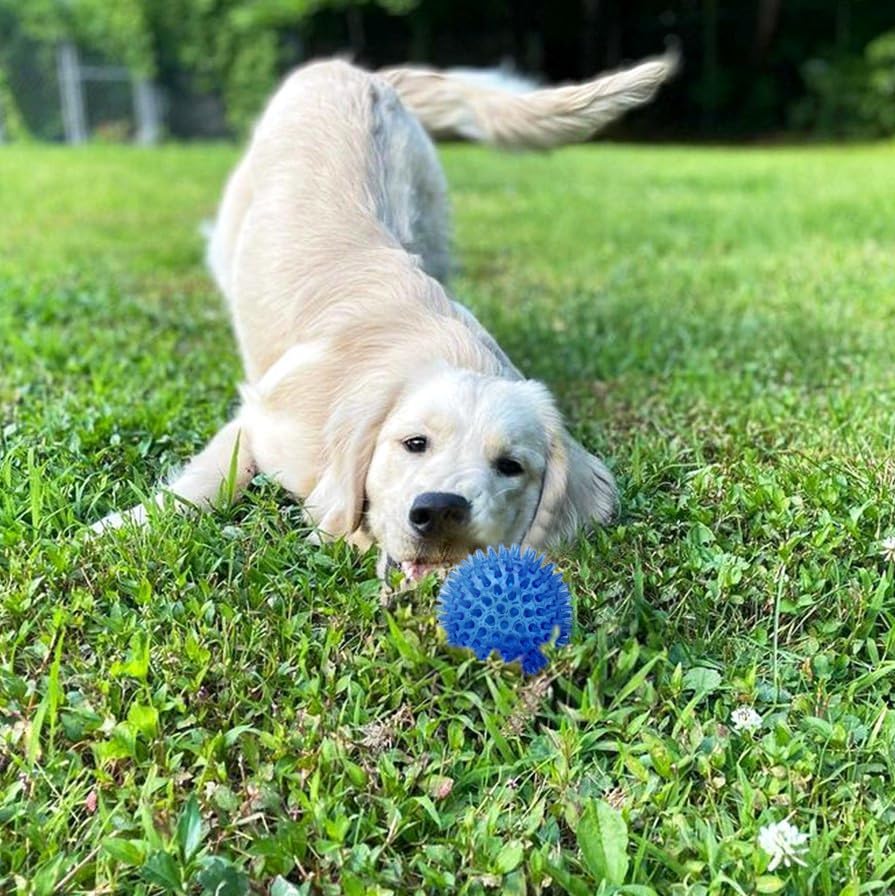 Cutie's PetBox Squeaky Rubber Spike Toy Ball for Small Dogs (2.5 Inch, Blue) (Pack of 2)