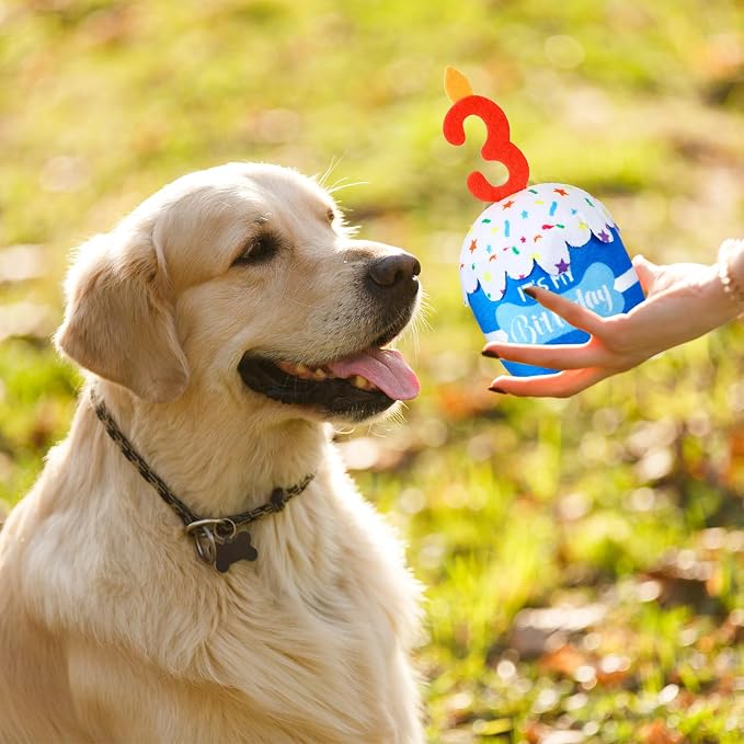 Dansydaisy Dog Birthday Cake Toy Squeaky Plush Gift,3rd,Blue