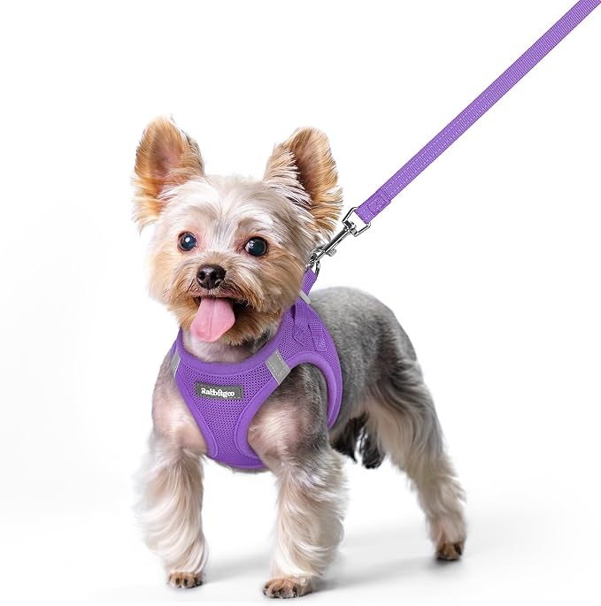 rabbitgoo Dog Harness Small Sized and Leash Set, Step-in Puppy Pet Vest | Light, Soft, Breathable Air Mesh, Easy on and Remove with Hook & Loop, Secure Reflective for Walking, Purple XS