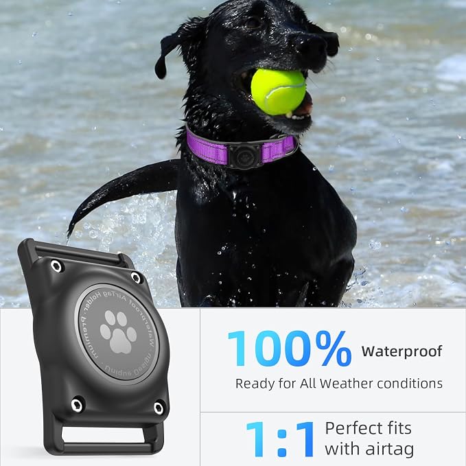 Upgrade Dog Collar with AirTag Holder, IP68 Waterproof, Grape Purple, XL | Built-in Water Resistant AirTag holder, 1000D Nylon, Reflective Stitching for Night Visibility, Soft padding for Comfort