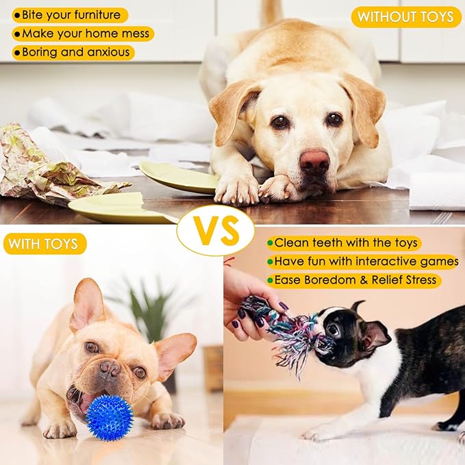 Aipper Dog Toys 25 Pack for Fun and Teeth Cleaning, Puppy Chew Toys Pack with Squeak Plush Toy,Squeaky Toy Balls,Tug of War and Rope Toys for Puppy to Small Dogs