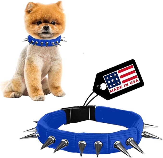 CoyoteCollar Spike Dog Collar, Adj/Replaceable Spikes, Medium, Blue