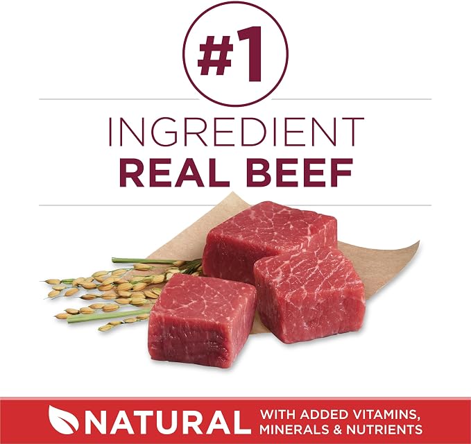 Purina ONE Small Bites Beef & Rice Dry Dog Food, 31.1 lb Bag | Small, easy-to-eat dog food, easily digestible with microbiome balance and prebiotic fiber for gut health