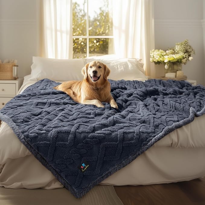 Luciphia Waterproof Blanket for Twin Bed Reversible Fleece Couch Cover | Reversible waterproof pet blanket soft fleece machine washable protect couch bed, Dark Grey 85" x 57"