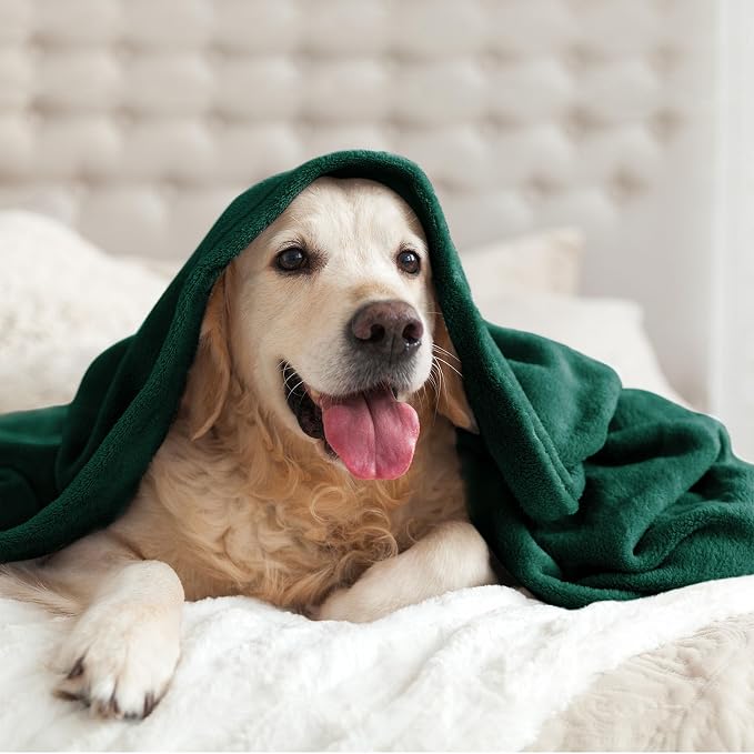 BEDELITE Fleece Blanket Soft Plush King Bed Blanket Forest Green 108"x90" | Ultra Soft Fleece, Plush Microfiber, Lightweight Warmth, All Season Comfort, Fade Resistant, Machine Washable