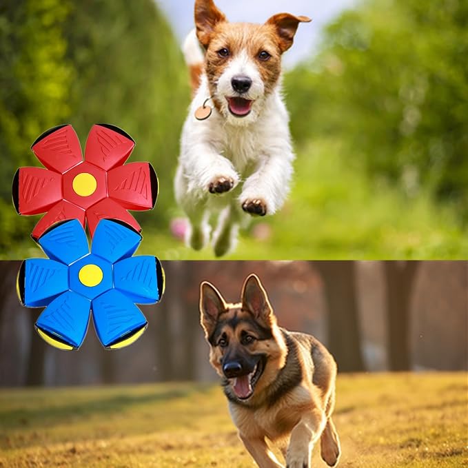 2 Pack Dog Flying Disc Toy Pet Flying Saucer Ball for Dogs Disc Games Toys