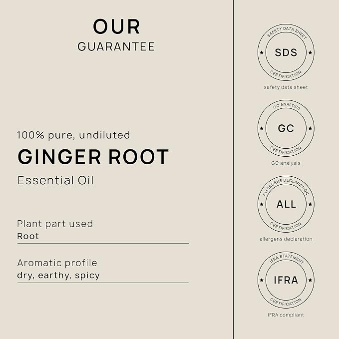 VINEVIDA Dried Ginger Root Essential Oil 32 oz - Undiluted Ginger Root Oil 32 oz - Ginger Root Candle Oil Scent - DIY Candle Scents for Candlemaking - Bulk Essential Oil for Soap Making