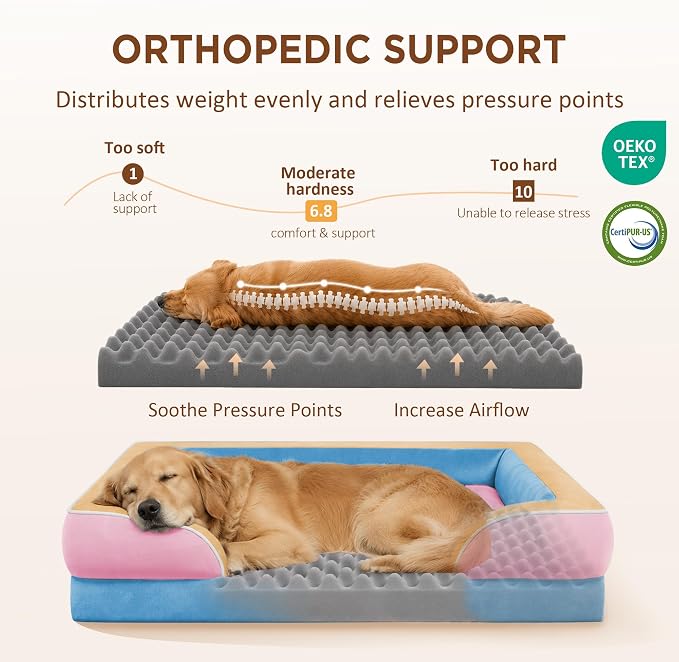 Comfort Expression Orthopedic Dog Bed for Extra Large Dogs with Bolster | Waterproof Dog Couch Bed with Washable Cover & Non-Slip Bottom, Supportive Egg Crate Foam XL Pet Bed, 42x30 Inch