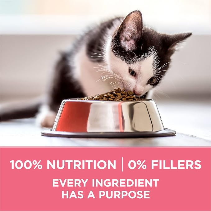 Purina ONE High Protein Natural Kitten Dry Cat Food, 7 lb Bag | Made with real chicken to support growing muscles, DHA for kitten brain development and antioxidants for immunity