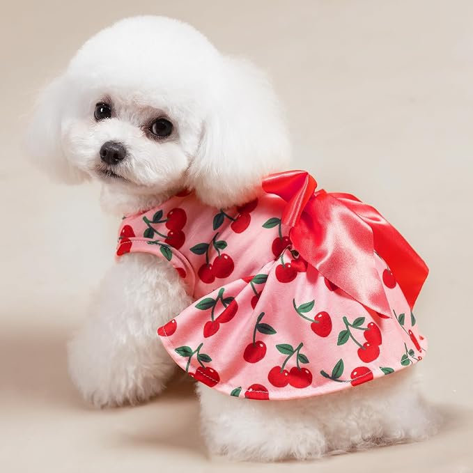 PUPTECK Stylish Cute Dog Dress with Bow Puppy Clothes, Pink Cherry XS | Breathable Lightweight Adorable Puppy Doggie Pet Clothes Outfits Apparel Costume for Party Holiday Photoshoot