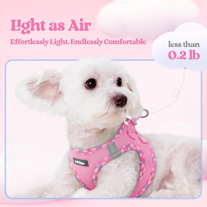 rabbitgoo Dog Harness Small Sized and Leash Set, Step-in Puppy Pet Vest | Light, Soft, Breathable Air Mesh, Easy on and Remove with Hook & Loop, Secure Reflective for Walking, Pink & Plaid Trim XS