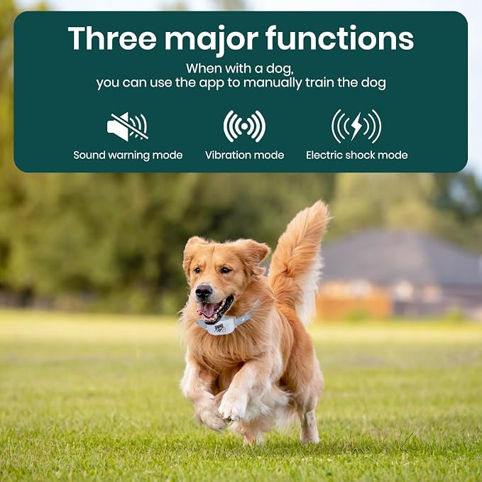 GPS Dog Fence, Wireless Training Collar- No Subscription Required, Customizable Boundaries via App 3280 FT, IPX7 Waterproof Rechargeable Collar, Smart Training Fence, Automatic Sleep/Wake