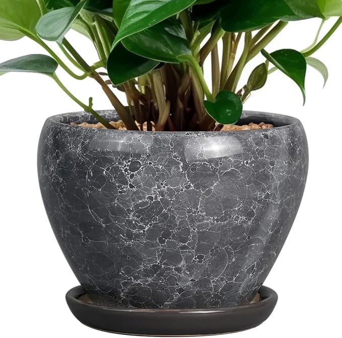 Ceramicfor Ceramic Planter - 6 Inch Plant Pot with Drainage Hole and Saucer, Succulent Pot Glaze Round Flower Pot for Indoor Outdoor Plants, Gray