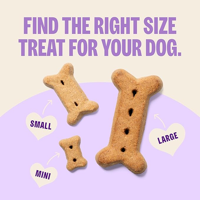Wellness Old Mother Hubbard Classic P-Nuttier Dog Biscuits, Natural Training Treats, Peanut Butter Flavor, Mini Size, 20 lb Box