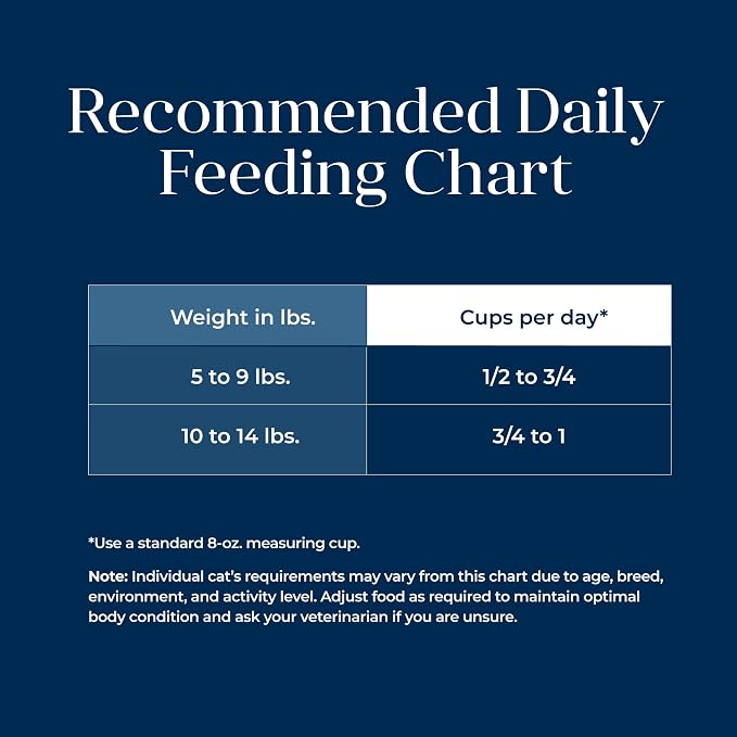 Blue Buffalo Basics Turkey Grain-Free Dry Cat Food, 5 lb | Skin & Stomach Care, Real Turkey #1 Ingredient, Limited Ingredient Diet, Antioxidant-Rich LifeSource Bits, Skin & Coat Health