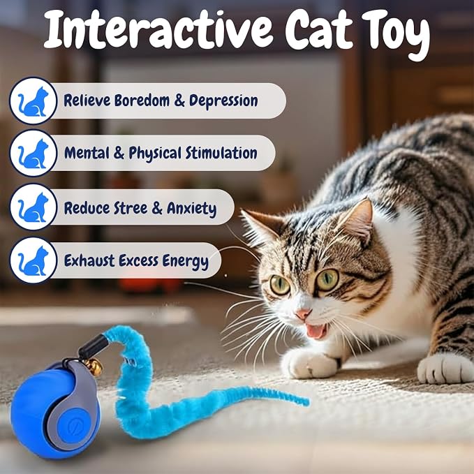 Interactive Cat Toy Ball - Motion-Activated, USB Rechargeable Cat Toys for Indoor Cats with Anti-Scratch Cover & 2 Changeable Tails - Enrichment Toy for Active Cats & Kittens