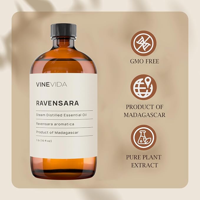 VINEVIDA Ravensara Essential Oil 16 oz
