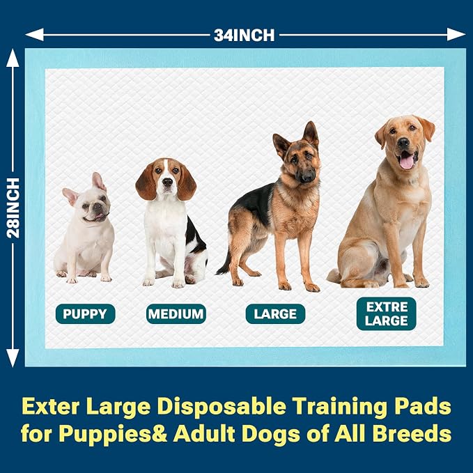 Clean Spaces X-Large Puppy Disposable Pads 28"x34", 100 Count, Leak-Proof | Super Absorbent Pee Pads for Dogs / Wee Wee Pads / Potty Training Pads, Incontinence Bed Underpads for Adults