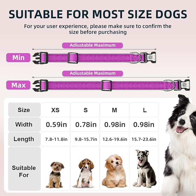 Reflective Dog Collar with QR Code Tag, Purple, L (15.7"-23.6")