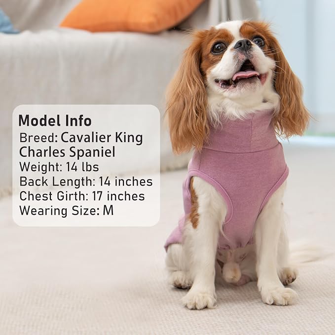 KYEESE 2Pack Dog Sweater for Small Dogs Soft Pet Coats Fleece Sweatshirt | Warm Turtleneck Dog Pullover Clothes, 4-Way Stretch & Lightweight Vest, Doggie Coat in Cold Weather, Daily Wear