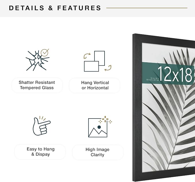 MCS Studio Gallery 12x18 Picture Frame Black Woodgrain Engineered Wood, Rectangle Photo Frame for Photos, Posters & Art Prints (2-Pack)