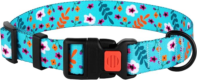 Nylon Dog Collar Floral Pattern Aquamarine 12-16 inch