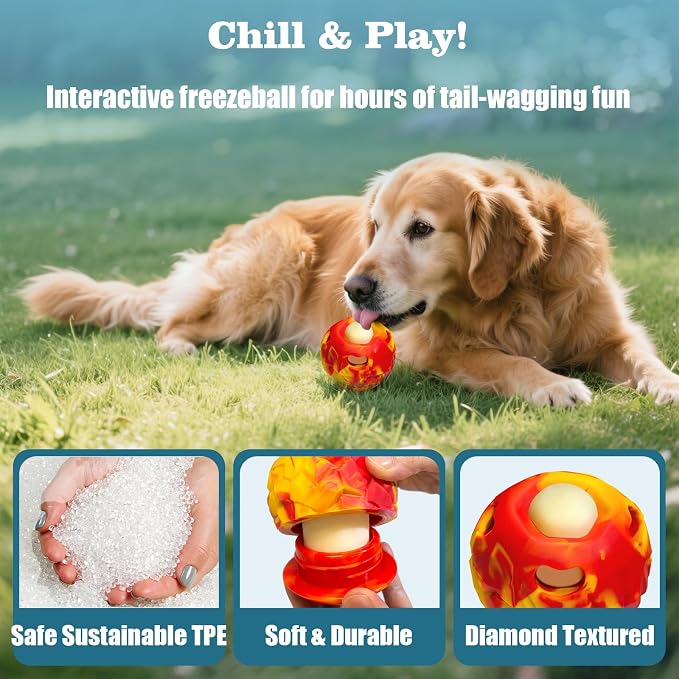 Dog Chew Toy, Large Frozen Treat Dispenser Reduces Pet Boredom