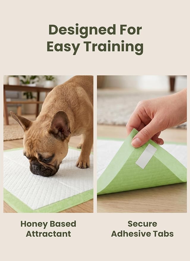 Pogi’s Puppy Pads with Sticky Tabs – Medium, Super Absorbent, Odor Blocking, 40-Count (18x24in)