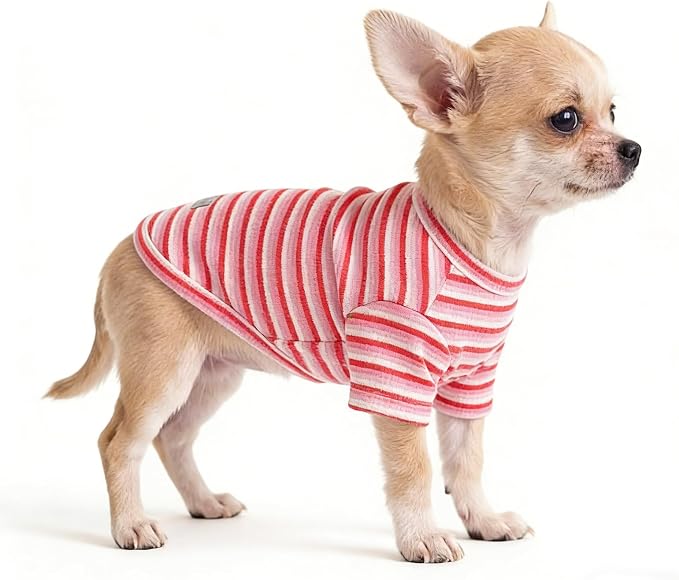 Soft Dog Shirt for Small Medium Dogs, Breathable Dog Clothes for Puppy Girl Boy, Stretchy Cotton Dog Tshirts, Fits Chihuahua, Toy Poodle, Green Stripe-S