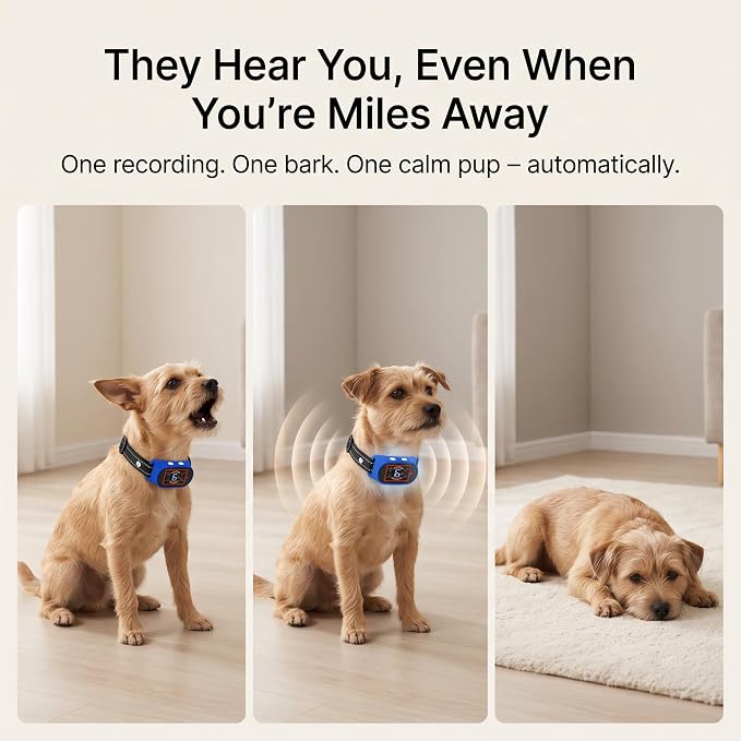 Voice Memo Anti Bark Collar, Smart Dog Bark Collar, Navy Blue | Custom Voice Recording, 4 Humane Training Modes, 6 Adjustable Sensitivity Levels, Rechargeable, for Small Medium Large Dogs