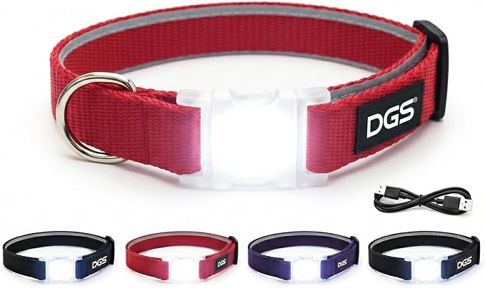 Dog Gone Smart Pet Products Super Bright LED All Day & Night Wear Safety Comet Collar Dogs, Adjustable Breathable Strong Nylon, Puppies, Large, Medium, Small