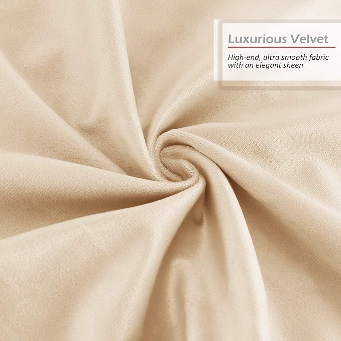 Throw Pillow Inserts Pack of 2 with Velvet Soft Solid Decorative Square Throw Pillow Covers Set for Sofa Couch Car Bedroom, 22X22 Throw Pillows Inserts with 20x20 Washable Cushion Covers, Beige Cream