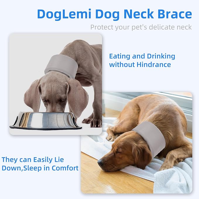Dog Neck Brace for Pet After Surgery Recovery Adjustable Breathable Neck Cervical Cone，Dog Cone Collar Recovery Head Cone for Small Medium Dogs Puppies Kittens with Spinal IVDD Lssues (Gray,XL)