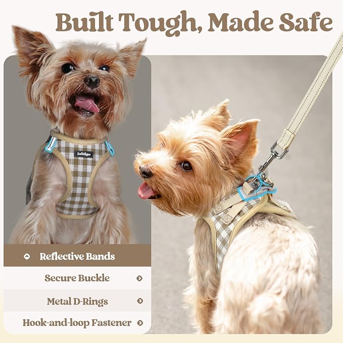 rabbitgoo Dog Harness Small Sized and Leash Set, Step-in Puppy Pet Vest | Light, Soft, Breathable Air Mesh, Easy on and Remove with Hook & Loop, Secure Reflective for Walking, Beige Check XS