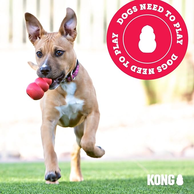 Kong Wubba Assorted Colors Puppy