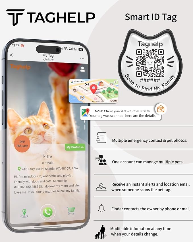 Cat Collar with AirTag Holder, QR Code Tag and Bell (Neon Green)