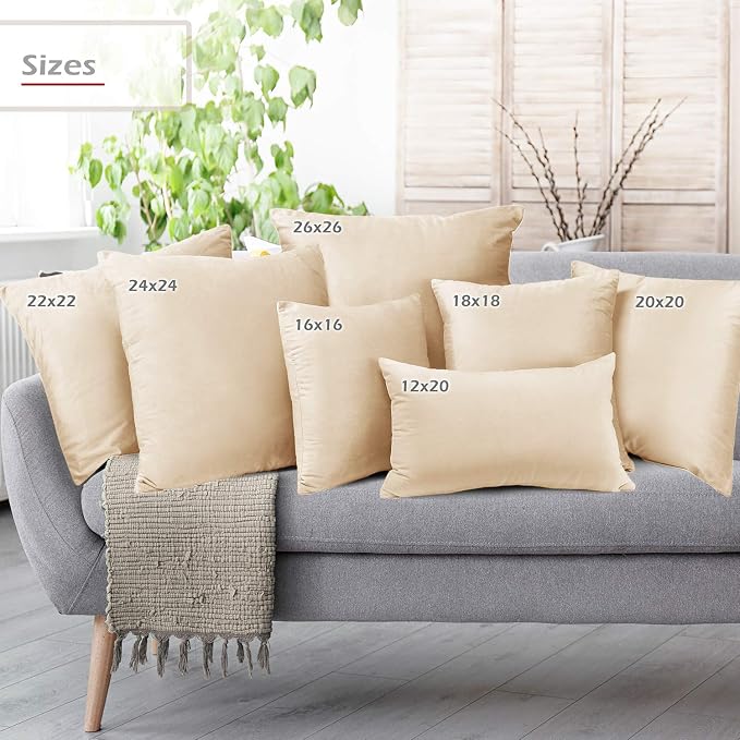 Throw Pillow Inserts Pack of 2 with Velvet Soft Solid Decorative Square Throw Pillow Covers Set for Sofa Couch Car Bedroom, 26X26 Throw Pillows Inserts with 24x24 Washable Cushion Covers, Beige Cream