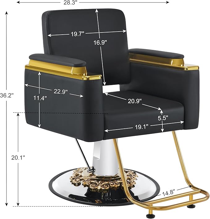 BarberPub Luxurious Salon Chair, Height Adjustable Black Salon Beauty Spa Styling Equipment, 440lbs Hydraulic Pump for Hair Stylist, Barber Shops&Beauty Salons 8633 (Black)